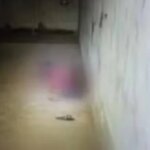 A daughter turns herself in after the murder of the lawyer, who is left in a pool of blood