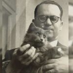 I almost stopped reading Grande Sertão: Veredas until one day something happened