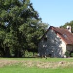 “We, I”: Two minors were found living apart from society, without school or vaccinations, by decision of their parents who were members of a cult