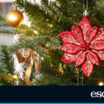 106 UNREPLACEABLE CHRISTMAS DECORATIONS: This package is more than enough to decorate your tree and your entire house | Lifestyle | He runs away