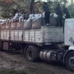 Police confiscated more than 5 tons of coca leaves in two operations in Salta and Cordoba