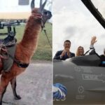 “We went from integrating machine guns to fighter aircraft.”