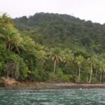 Controversy over the alleged US military base on Gorgona Island: Ungrd director clarified the situation