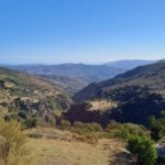 Five of her council members in Nevada rebel against the mayor