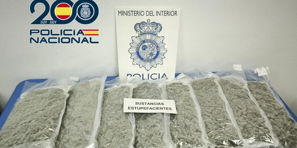 MARIHUANA-ELDA-U55808286770Vgu-1024x512@diario_abc.jpg