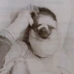 After the fight, the man throws the alcohol and sets his companion’s face on fire