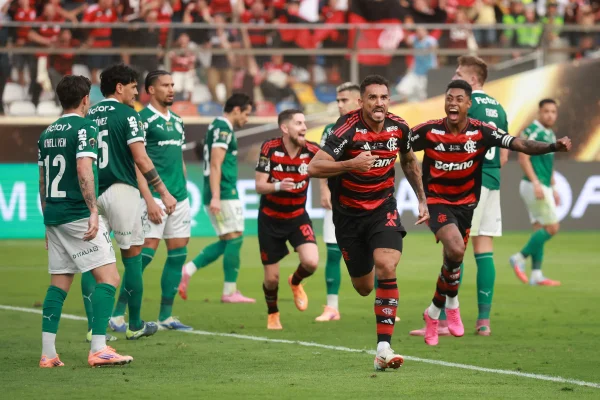 Palmeiras-x-Flamengo-Danilo.jpg
