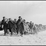 “The Dove of the Homeland”: Republican exile and the vision of Spain | Babylia