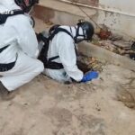 Two detainees accused of killing a man more than a year ago and dumping his body in a septic tank in Tarragona | News from Catalonia