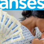 Abu Dhabi International Airport Final Notice: Deadline for handbook submission and detention pickup