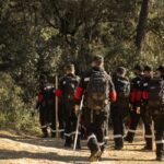 The state agrees with farmers to sacrifice 30,000 healthy pigs in the epicenter of swine fever infection News from Catalonia