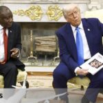 The United States has banned South Africa from participating in the G20, which it will organize at the Trump Club, due to “alleged violence against Africans,” while Poland has called for