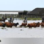 Hinojos relives the battle he won 50 years ago