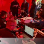 50 dead wild boars were collected in the Collserola (Barcelona) area affected by swine fever.