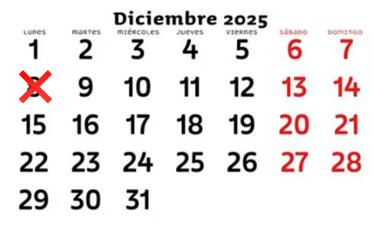 asi-se-liquida-el-feriado-del-8-de-diciembre-para-AQ5GGNWSXJD5FPQLACXEY7XCCM.png