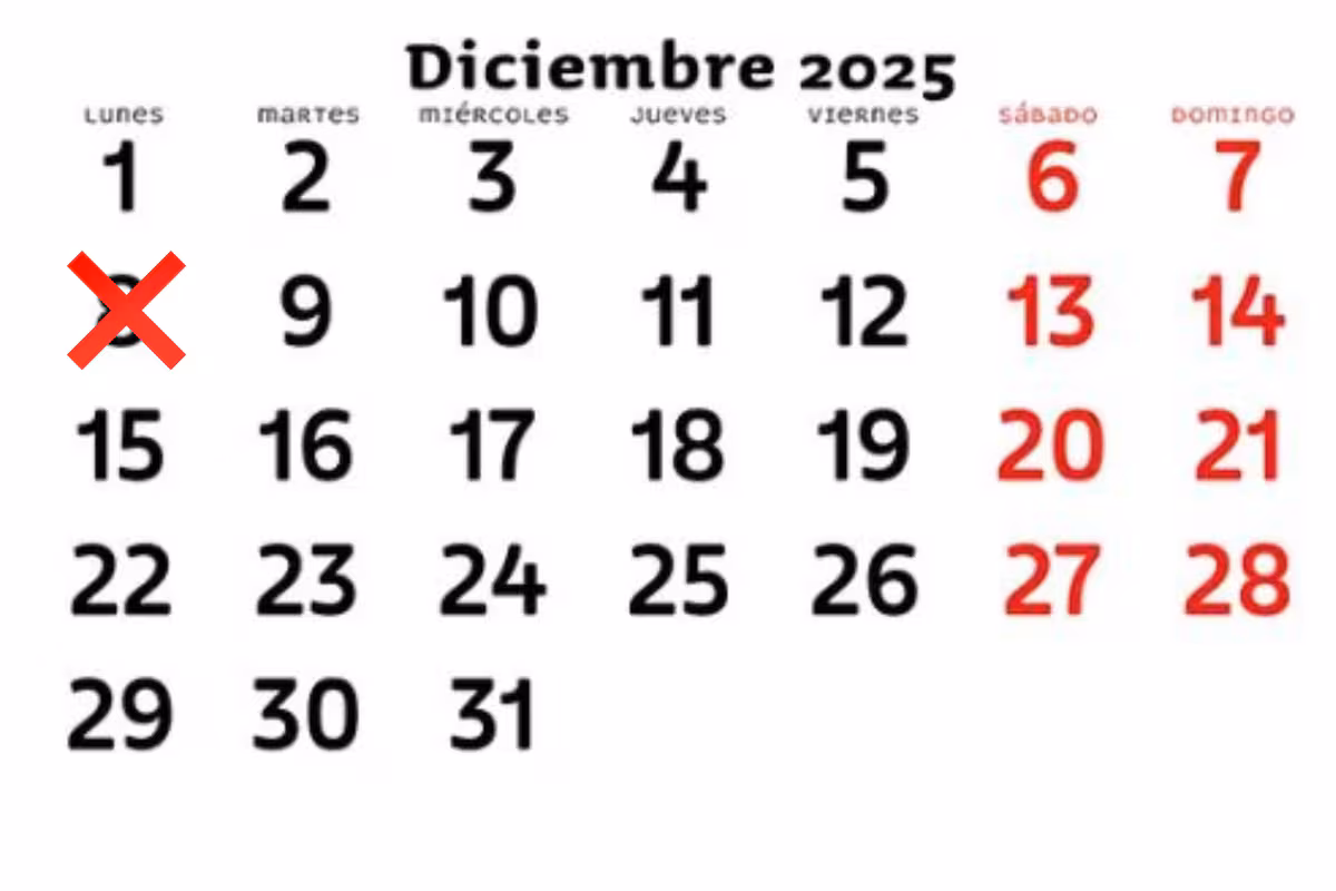 asi-se-liquida-el-feriado-del-8-de-diciembre-para-AQ5GGNWSXJD5FPQLACXEY7XCCM.png