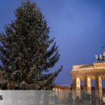 Why do we hang a Christmas tree? The history and origin behind this enduring tradition