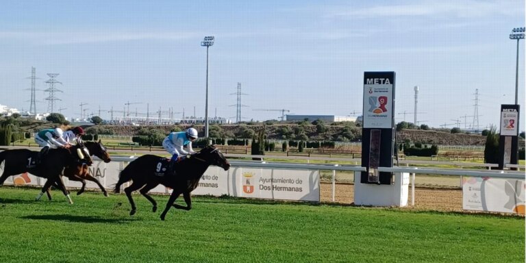 carrera-caballos-dos-hermanas-U45475238225kAq-1024x512@diario_abc.jpeg