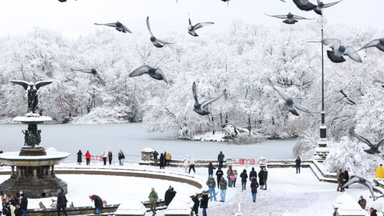 cayo-la-primera-gran-nevada-de-la-temporada-en-nueva-york-16122025-2154389.jpg