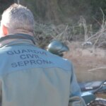 A poacher condemned by poachers for shooting a wild male has been arrested in Valencia