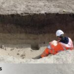 Why did someone drill 25 huge wells in Bedfordshire 8,000 years ago? Archaeologists believe the answer could change the history of the United Kingdom