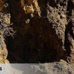 It is located on the slopes of Mount Teide and has been alive since the Roman Empire.