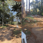 Court suspends logging in Butanta and imposes a daily fine