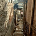 IBGE: 60% of slum dwellers live in places without trees