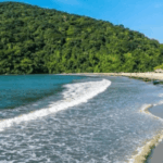 SP Beach, which is polluted year-round, does not keep away tourists. Find out which ones