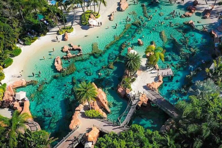 discovery-cove-el-all-inclusive-de-orlando-que-no-NCGSTGOYPFDVVDMKMVUBLRUNHI.jpg