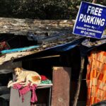 He who waits despairs – LA NACION