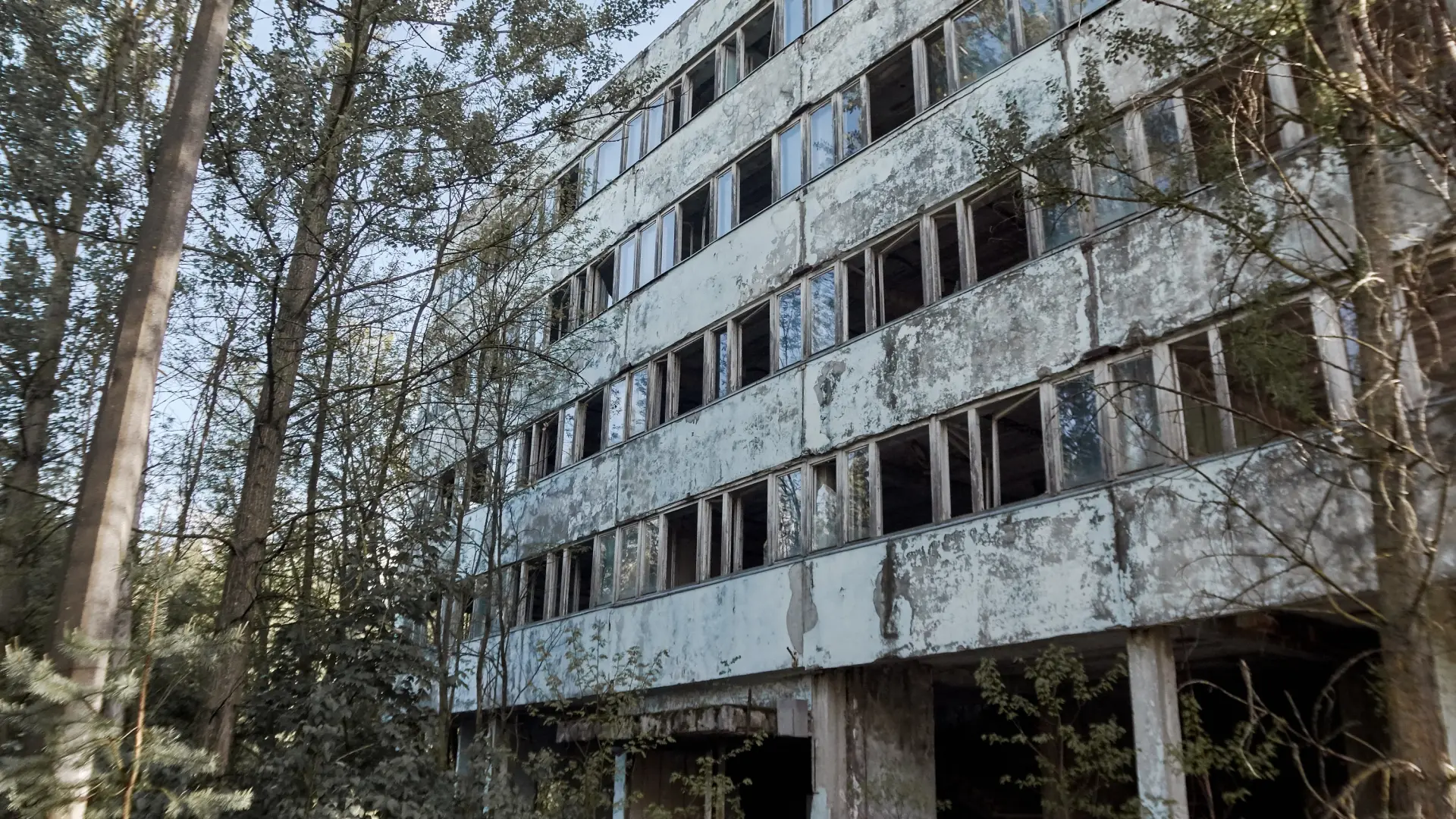 edificio-abandonado-plantas.jpeg