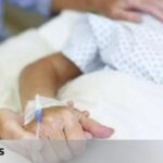 The Supreme Court confirms that parental and bereavement leave is enjoyed on working days