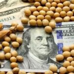 The flow of agricultural dollars declines after exports advance