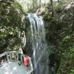 The park on the Miami Road Trip is called “Florida Mountains” and has one of the rarest trees in the world