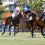 Why anti-doping for polo horses fills the gap and step that remains pending