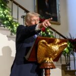 Who are the naturalized Americans whose citizenship Trump seeks to revoke?