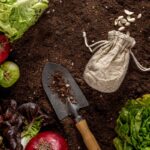 The banana peel trick that helps your plants grow stronger