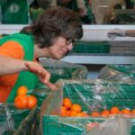 en-argentina-se-desperdician-por-ano-72-kg-de-alimentos-por-persona-18122025-2156045.jpg