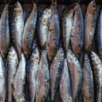 foto-sardinha.jpg