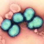 h3n2-influenza-virus-a-niaid-nih.jpg