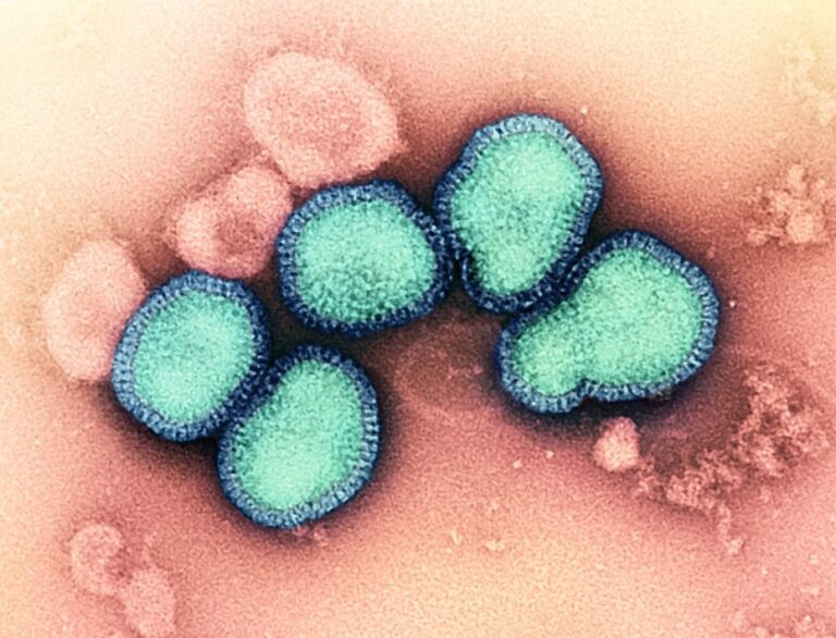 h3n2-influenza-virus-a-niaid-nih.jpg