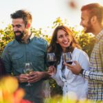 São Paulo is becoming a wine route and attracting more and more visitors