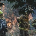 Xunta will fund contracts for unemployed people to prevent fires