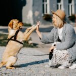 Do dogs look like their owners? Study reveals similarities with our pets