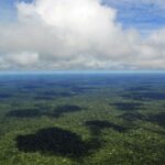 la-amazonia-podria-perder-hasta-el-38-de-su-cubierta-forestal-para-fines-de-siglo-16122025-2154339.j.jpeg