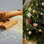 la-canela-es-una-especia-muy-utilizada-en-navidad-VK7PO44DS5CNROSU7ELKJ562FM.jpg