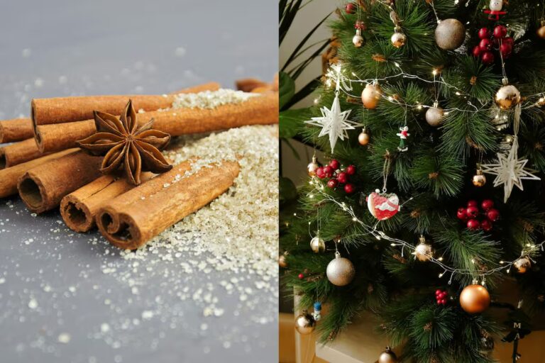la-canela-es-una-especia-muy-utilizada-en-navidad-VK7PO44DS5CNROSU7ELKJ562FM.jpg
