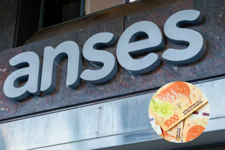 las-prestaciones-que-abona-anses-este-lunes-22-de-L3U4GIMOA5EORA6IICW5YRIJXQ.png