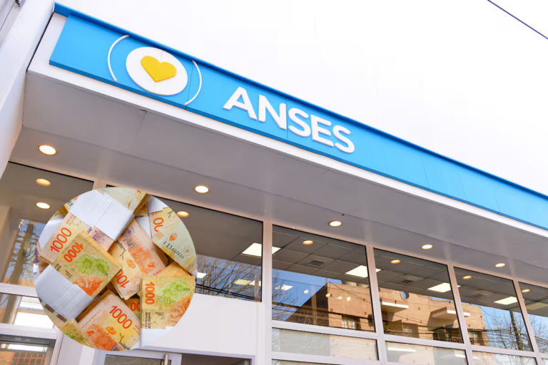 las-prestaciones-sociales-de-la-anses-que-se-HIOFVKXR65HE7IFWGMISROHMNE.png